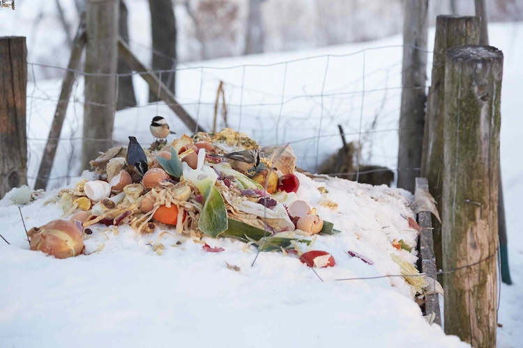 winterkompost anlegen und durch die richtige pflege bodennährstoffe für pflanzen im frühjahr erhalten