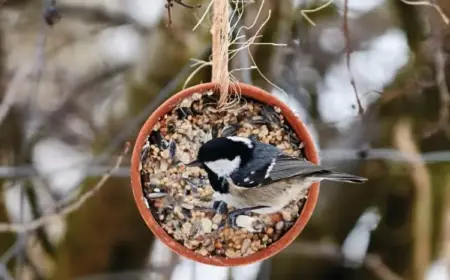 Futterglocke selber machen mit Tontopf für den Winter