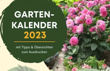 Gartenkalender 2023 - Tipps zur Gartenarbeit in jeder Saison nach Monat mit Übersicht