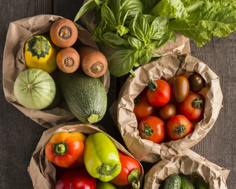 Gemüse Aussaat im Januar - Auberginen, Wintersalat und Blumenkohl