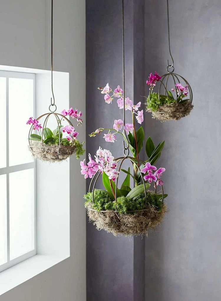 Hängender Korb für Orchideen