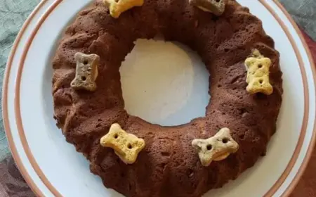 Hundetorte selber machen und Geburtstag feiern