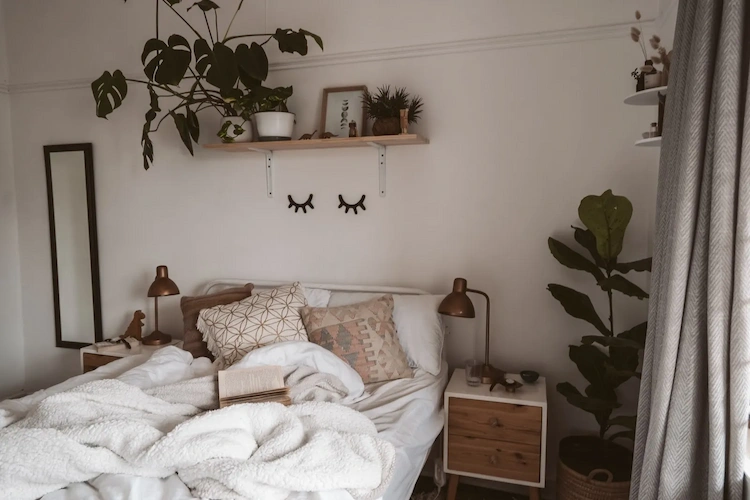 Pflanzen, die zur Reinigung und Filterung der Luft beitragen, sind gut für den Schlaf im Schlafzimmer