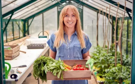 Pflanzen im Gewächshaus Anbau Tipps