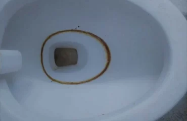 Stark verschmutzte Toilettenschüssel sauber machen mit Zitronensäure