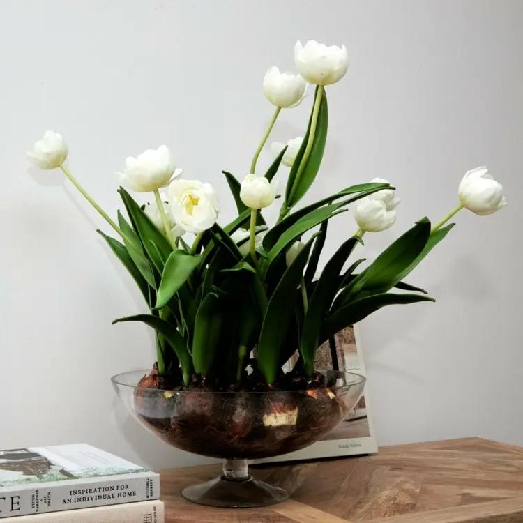 Stilvolle Deko-Idee mit Schale aus Glas und weißen Tulpen