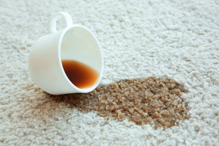Teppich reinigen mit Hausmitteln - Mit diesen Tipps können Sie jeden Fleck entfernen