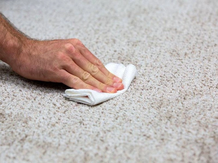 Wie Sie Flecken von Haustierunfällen auf Ihrem Teppich behandeln