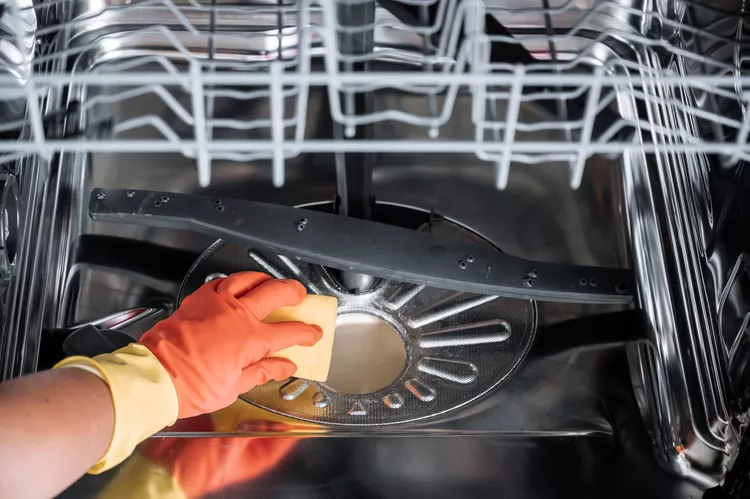 einen küchenschwamm verwenden und essensreste oder schimmel in einer spülmaschine filter reinigen