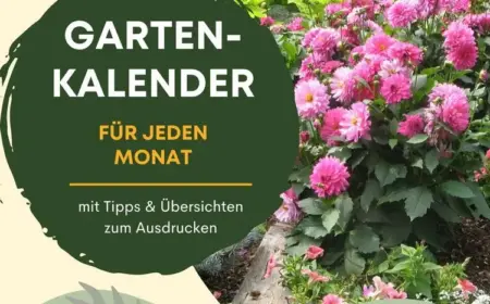 Gartenkalender - Tipps zur Gartenarbeit in jeder Saison nach Monat mit Übersicht