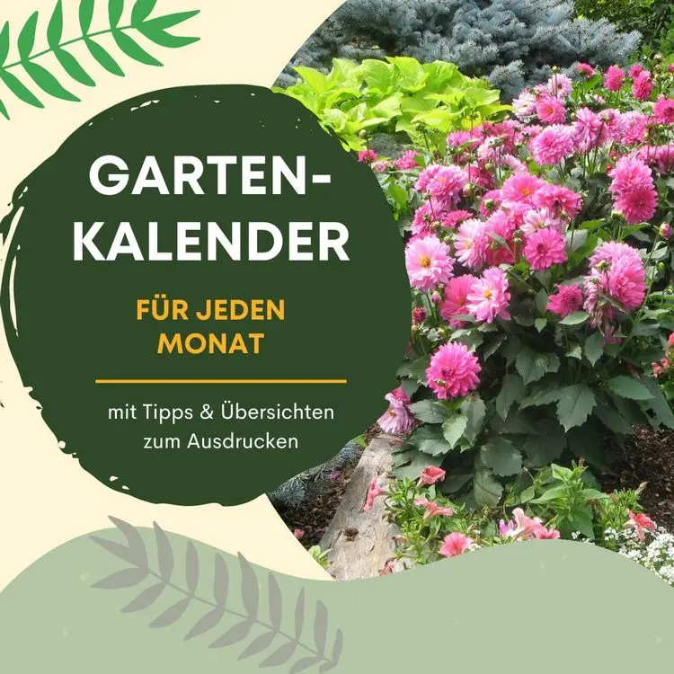 Gartenkalender - Tipps zur Gartenarbeit in jeder Saison nach Monat mit Übersicht