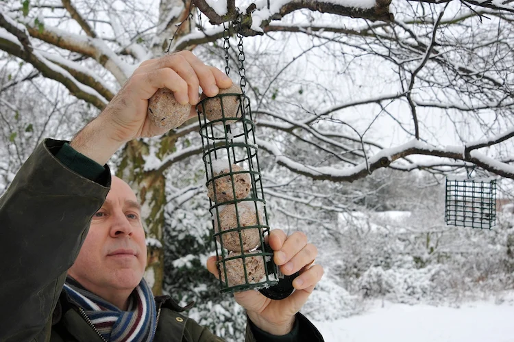 im laden gekaufte oder selbstgemachte vogelknödel an baumzweigen während dem winter aufhängen