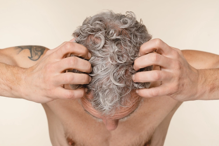 in höherem alter und bei grauen haaren kann es bei männern zu haarausfall kommen