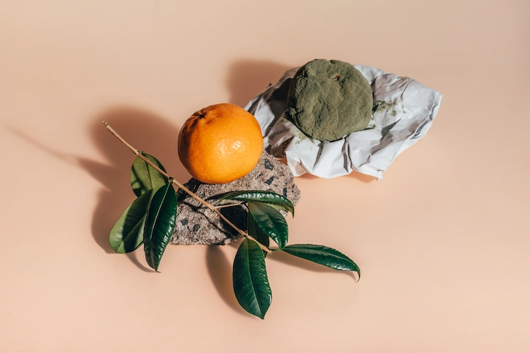 warum schimmeln mandarinen so schnell und wie kann man zitrusfrüchte aufbewahren