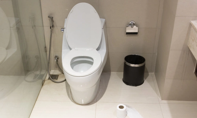 wenn eine toilette stinkt einfache schritte befolgen und mit eigenen mitteln gerüche im bad neutralisieren
