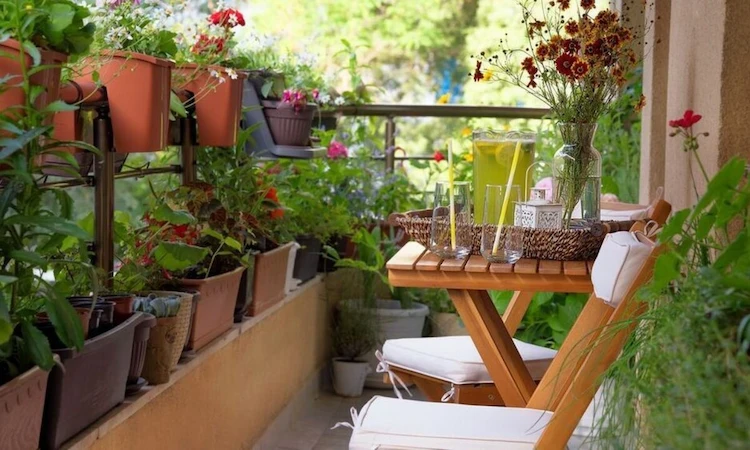 Ab wann Balkon bepflanzen und welche Blumen, Kräuter und Gemüse für Ihren Außenbereich geeignet sind