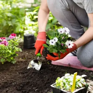 Der Garten im März - was diesen Monat zu tun ist - Alle wichtigen Aufgaben