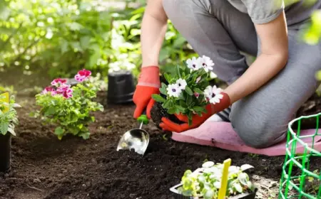 Der Garten im März - was diesen Monat zu tun ist - Alle wichtigen Aufgaben