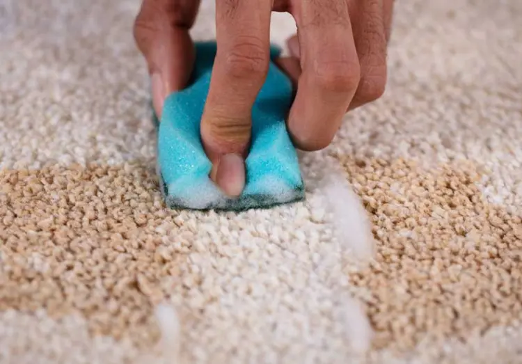 Flecken vom Hochflor Teppich entfernen