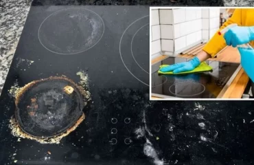 Glaskeramik-Kochfeld reinigen mit Hausmitteln - Machen Sie es mit diesen Tipps blitzschnell sauber