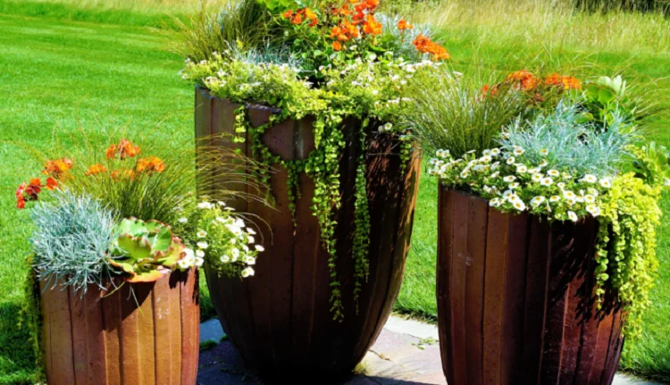 Hohe Kübel bepflanzen im Frühjahr - wichtige Tipps + welche Blumen eignen sich für Ihren Kübelgarten