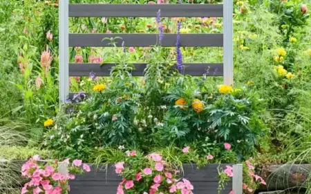 Pflanzkasten mit Sichtschutz Blumen kombinieren Tipps