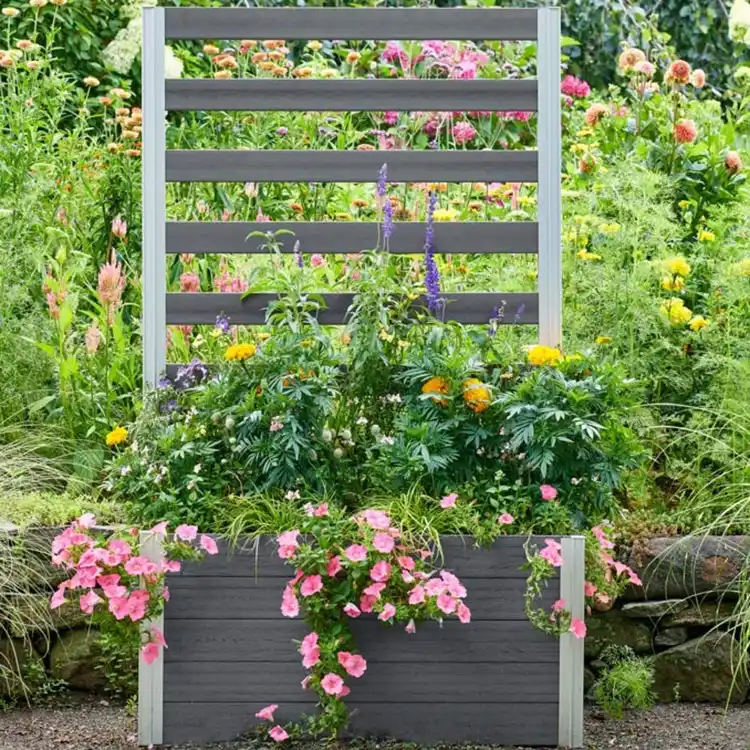 Pflanzkasten mit Sichtschutz Blumen kombinieren Tipps