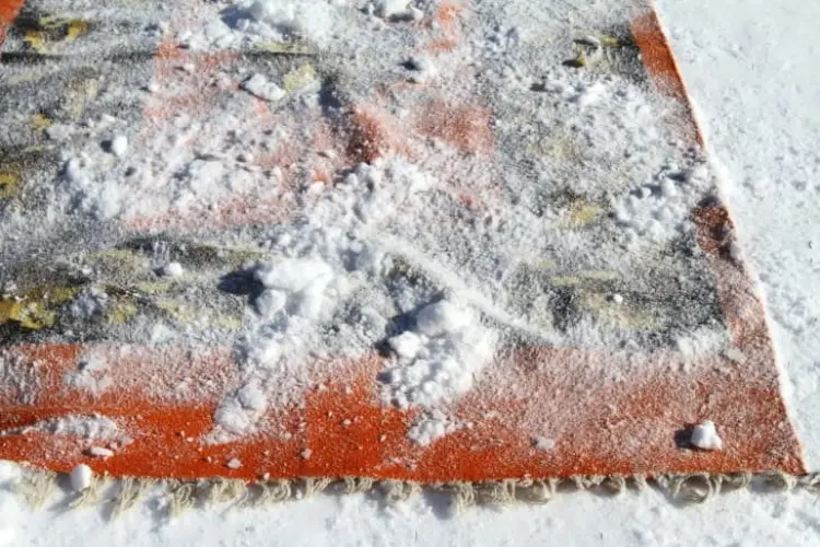 Teppich im Schnee reinigen