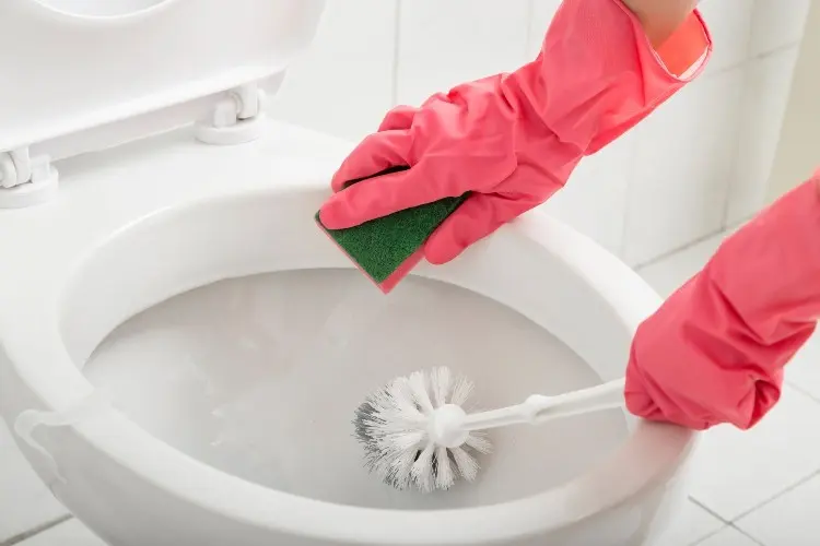 Toilettenrand reinigen Anleitung mit Zahnbürste und Hausmittel