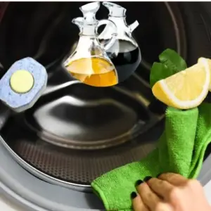 Waschmaschine reinigen mit verschiedenen Waschmitteln wie Essig oder Zitronensäure