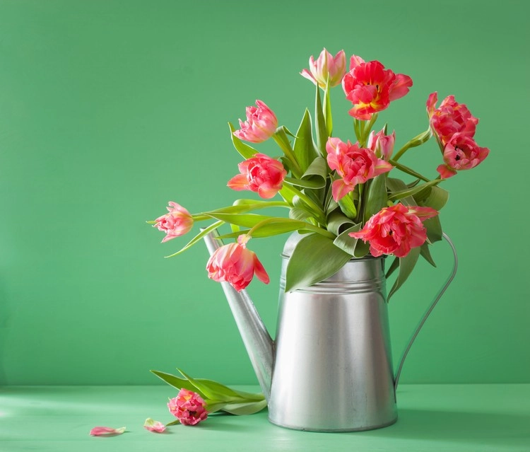 Wie können Sie einen Blumenstrauß länger haltbar machen