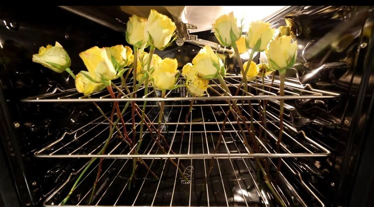 Wie man Blumen im Ofen trocken kann