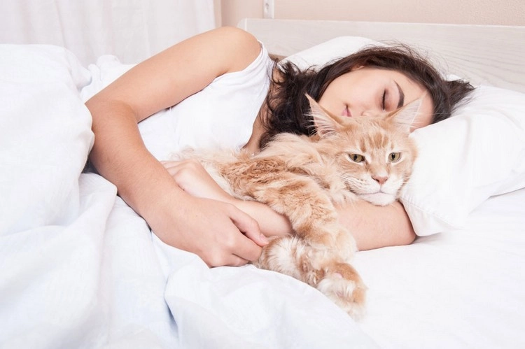 Wie oft sollte man die Bettwäsche wechseln, wenn man mit Haustieren im Bett schläft?