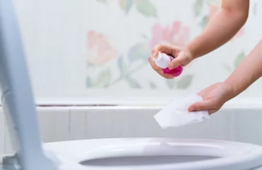 den wc sitz regelmäßig mit desinfektionsmittel besprühen und uringeruch entfernen