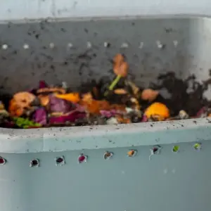 fruchtschalen und sonstige küchenabfälle und essensrester in einem wurmkomposter nachhaltig verwenden