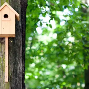 im gartenbereich vor der frühlingssaison einen nestkasten bauen und vögel anlocken