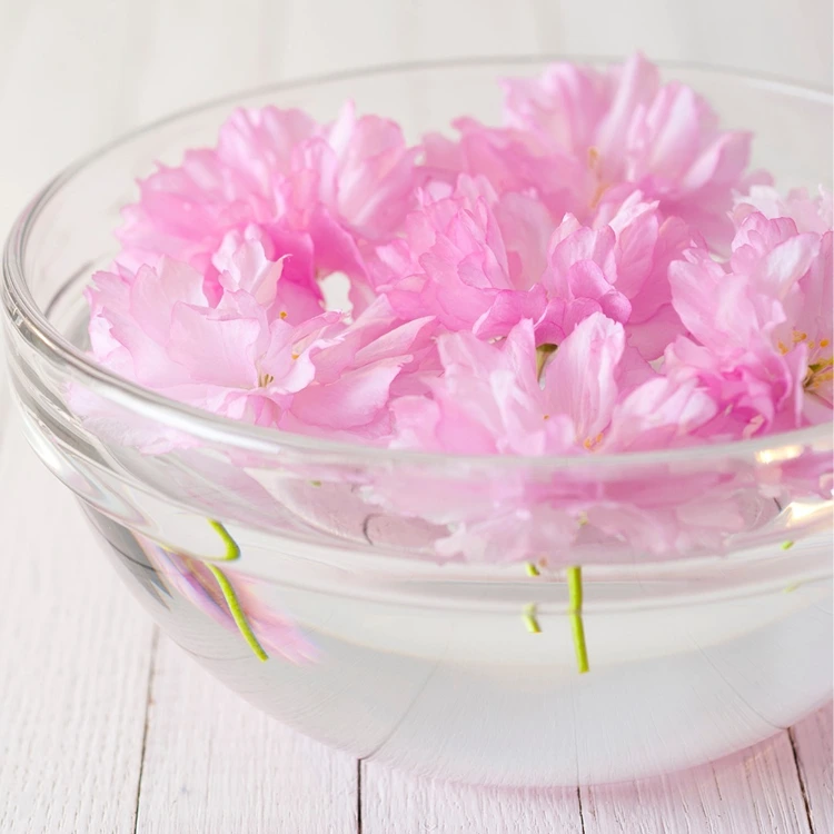 Luftpolsterfolie-Tricks für Deko im Frühling und Sommer mit schwimmenden Blüten