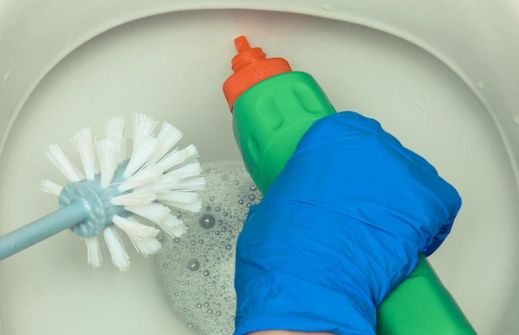 mit herkömmlichen desinfektion- und reinigungsmitteln rückstände aus toilettenschüssel entfernen