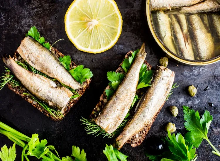 täglich sardinen auf brot mit zitrone essen und welcher fisch zum abnehmen ansonsten beiträgt wissen