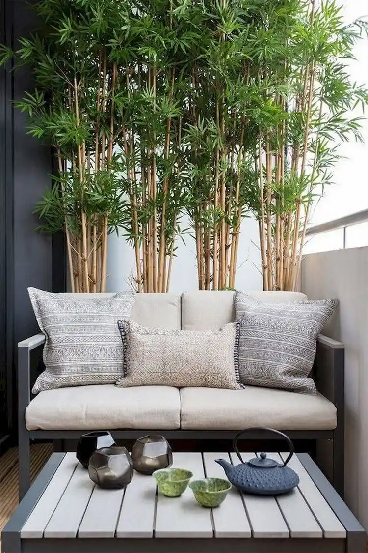 Bambus oder andere hohe Gräser als Seitensichtschutz - coole Ideen