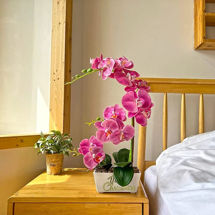 Eine Orchidee im Schlafzimmer ist eine schöne Möglichkeit, etwas Farbe im Raum zu schaffen