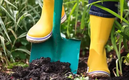 Garten für den Frühling vorbereiten - Mit diesen Tipps machen Sie Ihren Garten frühlingsfit