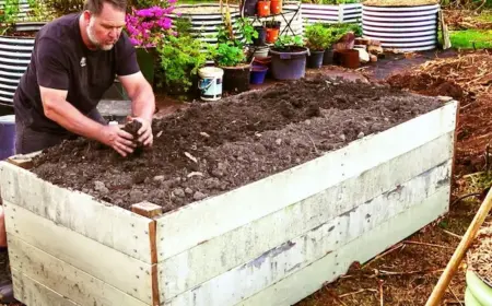 Hochbeet befüllen - Anleitung zur richtigen Gestaltung der Beete