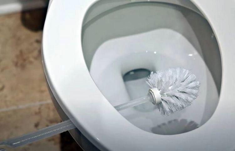 Toilette und Klobürste mit Spülmittel reinigen - Tipps