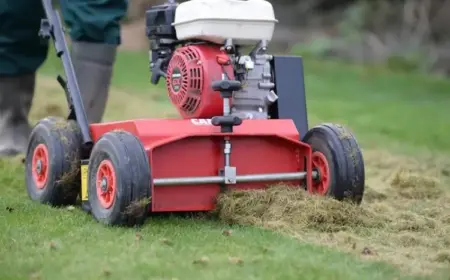 Rasenfläche bei Frost vertikutieren Anleitung