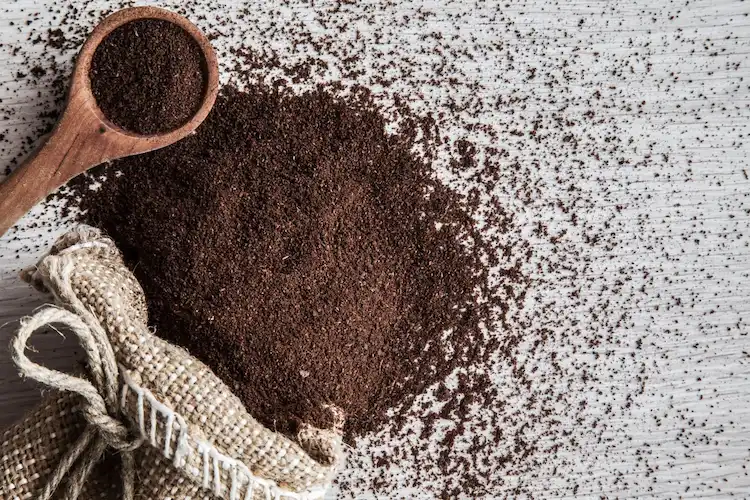 Viele Gärtner kennen die nützlichen Eigenschaften vom Kaffeepulver für die Pflanzen im Garten