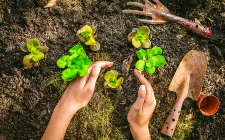 Welches Gemüse im März pflanzen - Salat vorziehen oder direkt ins Beet