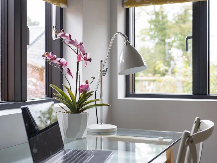Wenn Sie von zu Hause arbeiten, kann eine Orchidee Ihren Arbeitsbereich bestimmt erfrischen