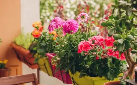 Balkonblumen im März pflanzen welche Arten