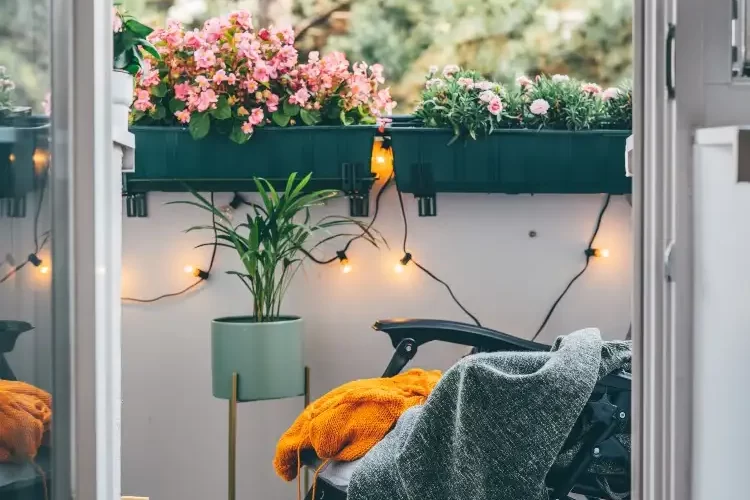 Balkonkasten bepflanzen mit Blumen und Gräsern